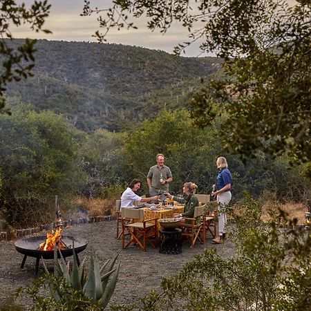 Kwandwe Private Game Reserve - Melton Manor Grahamstown Esterno foto